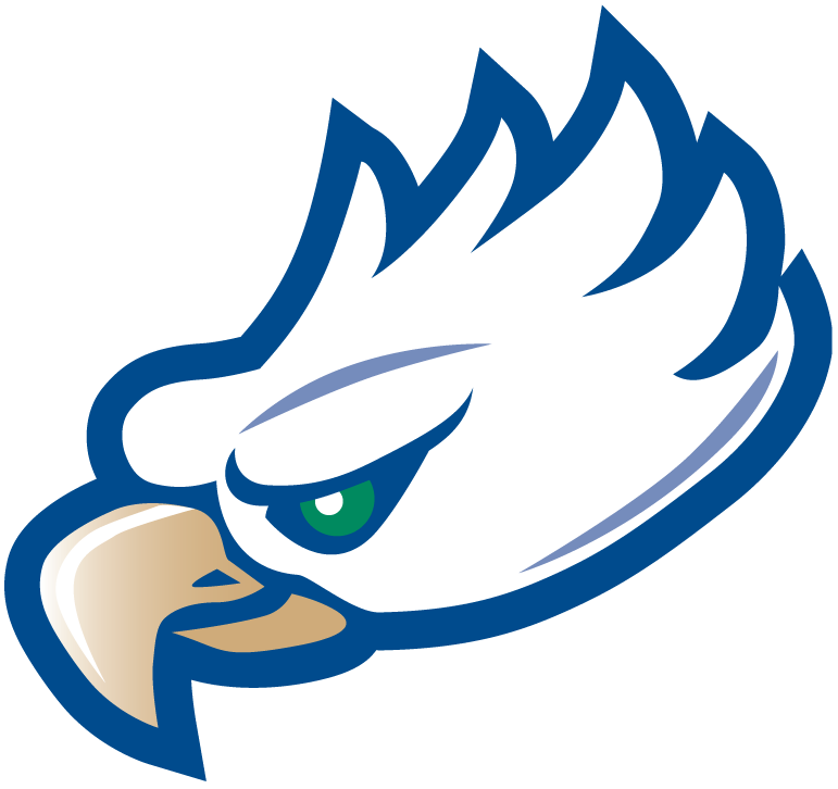 Florida Gulf Coast Eagles 2002-Pres Partial Logo diy DTF decal sticker